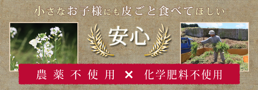 農薬不使用・化学肥料不使用の安心と安全