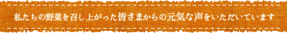 お客様の声